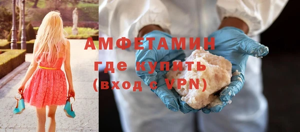 сатива Новозыбков