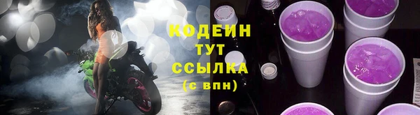 сатива Новозыбков