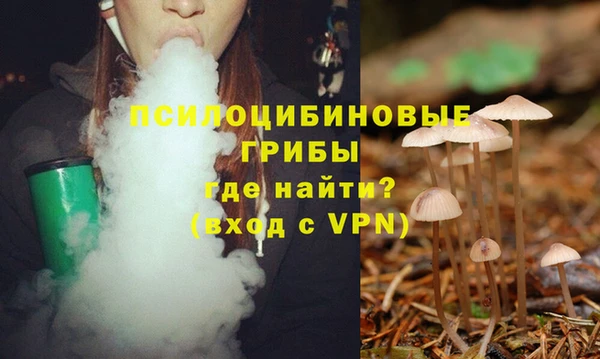 спиды Абинск