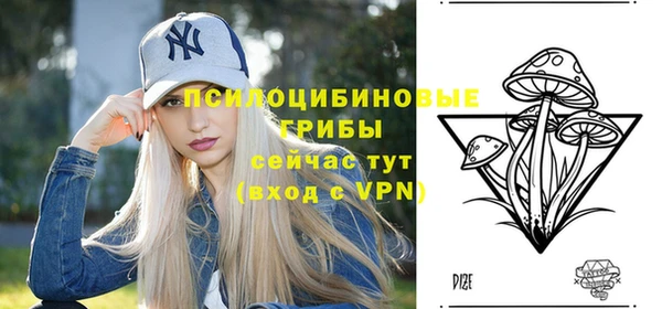 стафф Абдулино