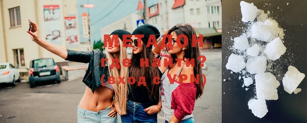 сатива Новозыбков