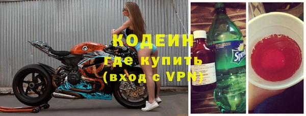 сатива Новозыбков