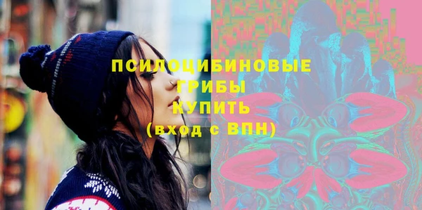 сатива Новозыбков