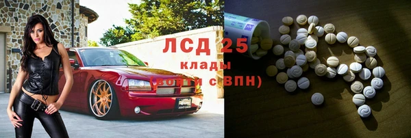 сатива Новозыбков