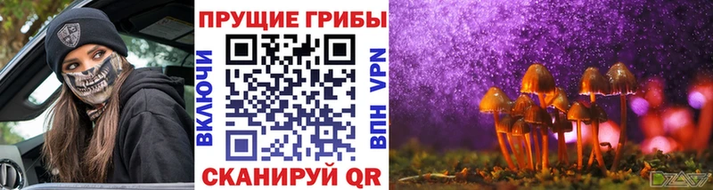 Галлюциногенные грибы мухоморы  площадка наркотические препараты  Харабали 
