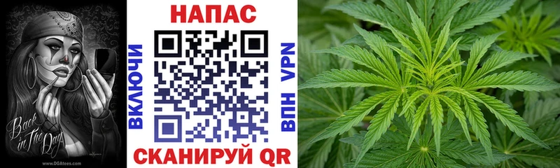 Каннабис план  Харабали 